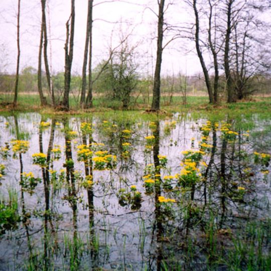 Parc national d'Itchnia