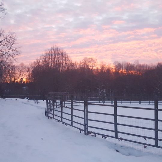 Sherrills Ford