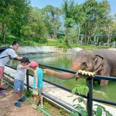 Elephant farm