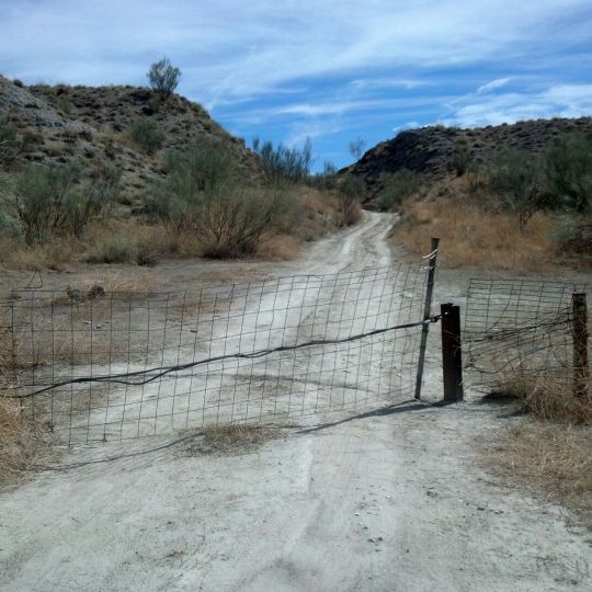 Archaeological site of El Espartal