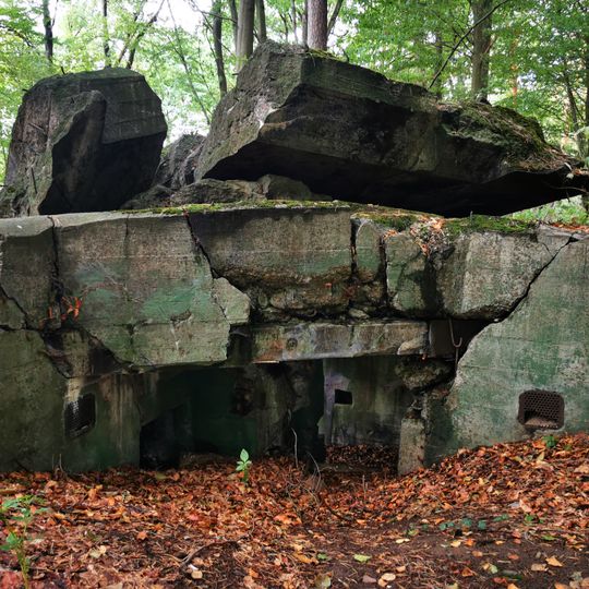 Bunker 316 Erlenbach