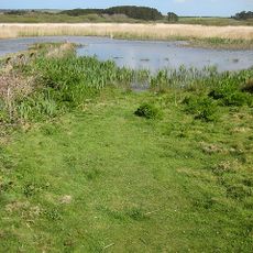Marazion Marsh RSPB Reserve