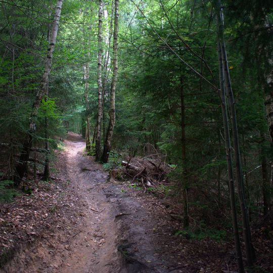 Landschaftsschutzgebiet L 6.03.03