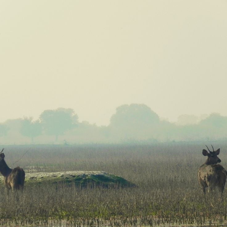 Kevladev National Park