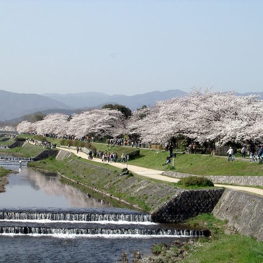 Kamo River