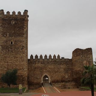 Castle of Laguna de Negrillos