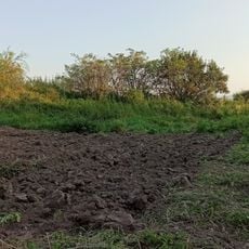 Stodoła z 1. poł. XIX w. w Mieszkowicach