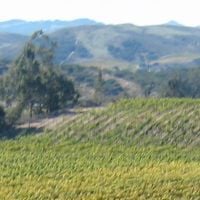 Santa Barbara County