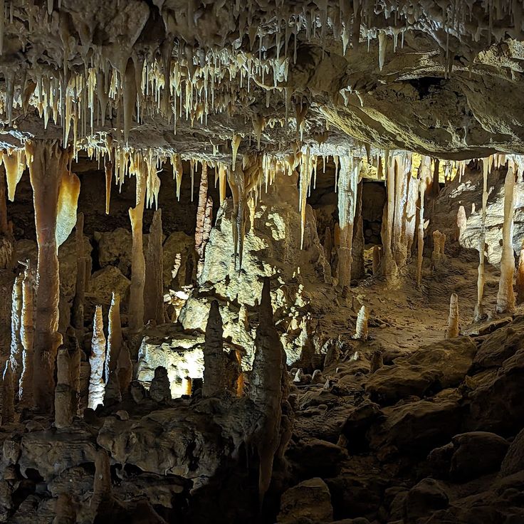 Naracoorte Caves