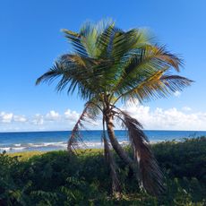 Balneario público de Humacao