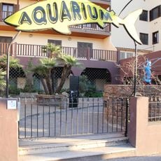 Aquarium di Alghero