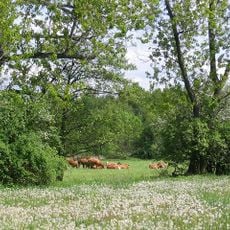 Lower Lusatian Ridge Nature Park