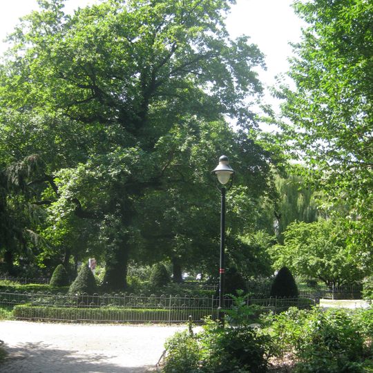 Platzanlage Theodor-Körner-Platz