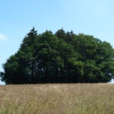 Tumulus of Hochtumsknopf