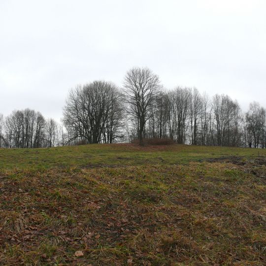 Bražuolė hillfort