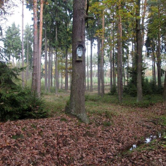 Obrázek východně od Krašovic