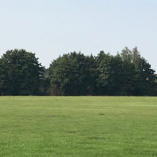 Lippeaue, nordöstlich der STEAG, nördlich der Moltkestrasse