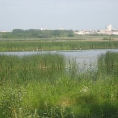 Pamyatnik Prirody Ptich'ya Gavan'