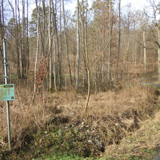 Hinteres Sommerhofental