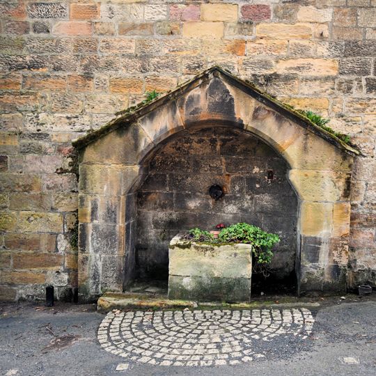 Pant Adjacent To Driftwood Lodge