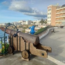 Cannon