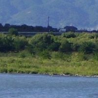 Chikuma
