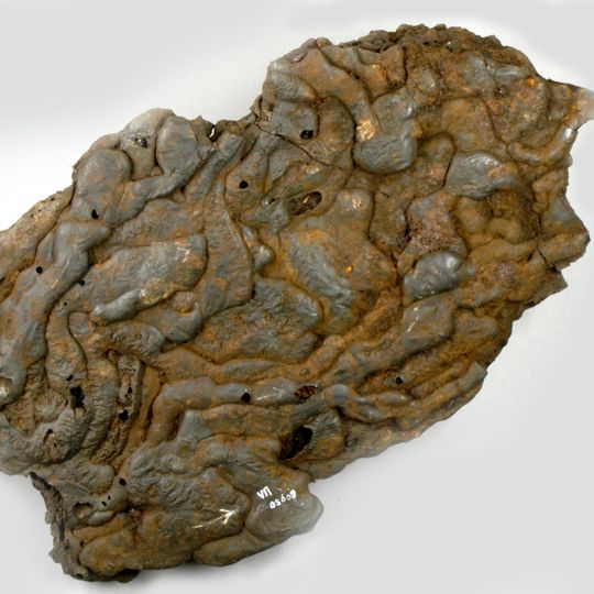 Vindplaats Vloeislakken Orderbos