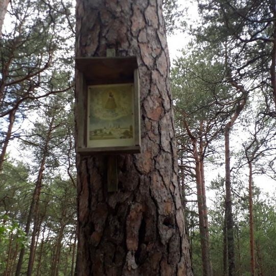 Obrázek severně od Hvozdu