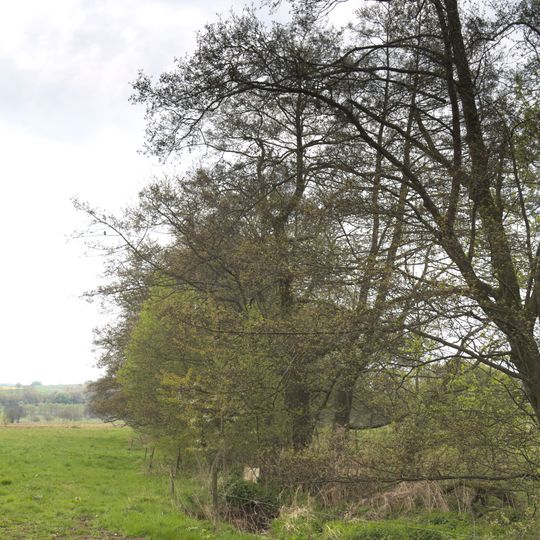 Talauen bei Freiensteinau und Gewässerabschnitt der Salz