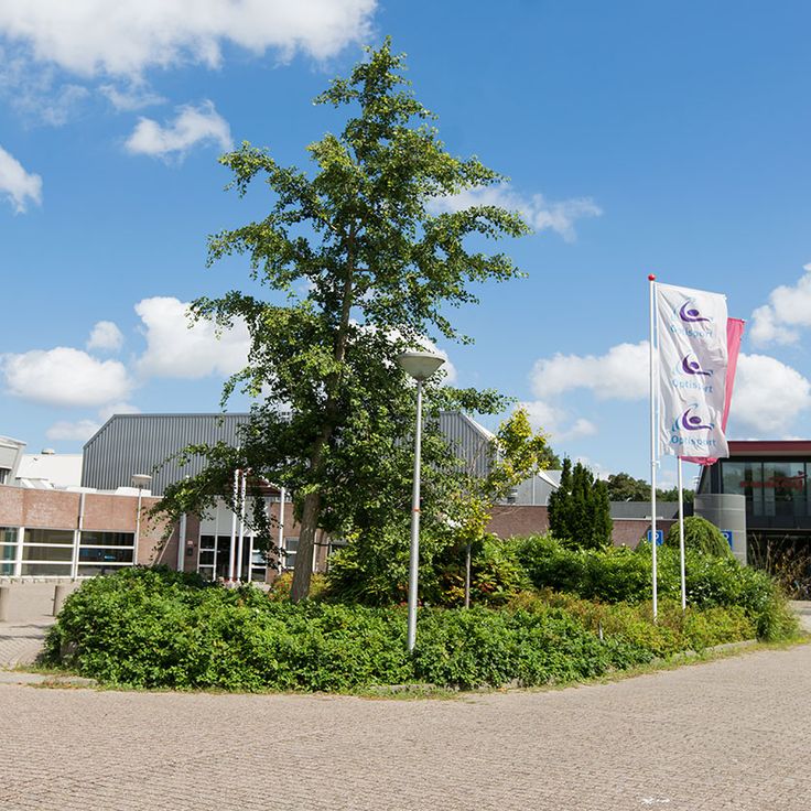 Optisport Zwembad Vreeloo