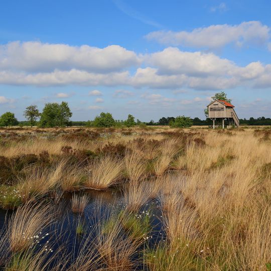 Recker Moor
