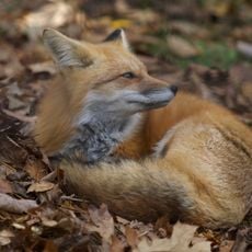 Northeastern Wisconsin Zoo