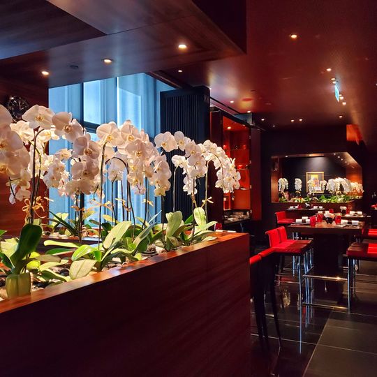 L’ATELIER de Joël Robuchon