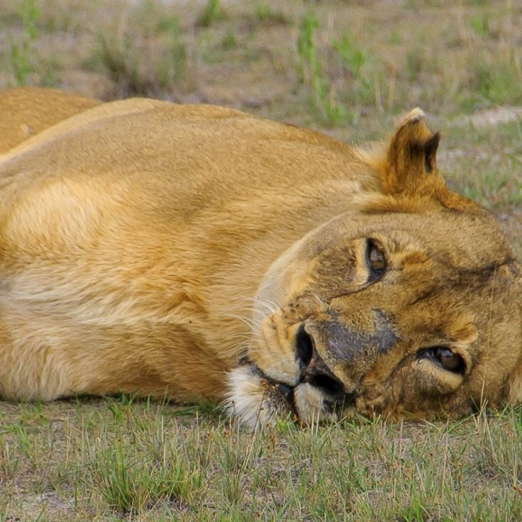 Liuwa Plains National Park