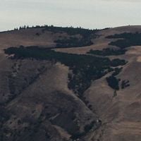 The Dalles