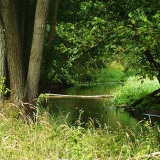 Nature reserve Wełna