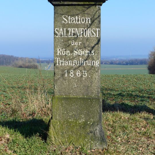 Station 49 Salzenforst