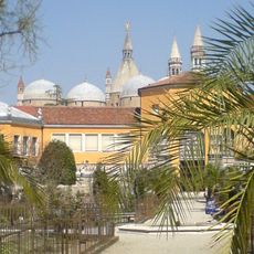 Ogród botaniczny w Padwie