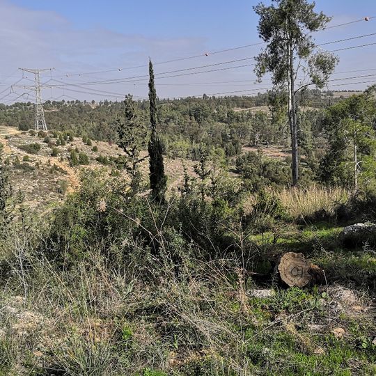 נוף יפה בכיוון צפון