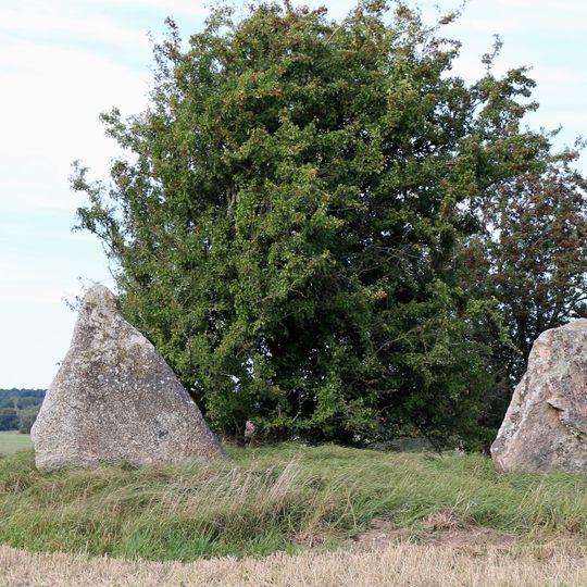 Tullehögen, Tullestenarna