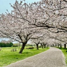 引地川親水公園