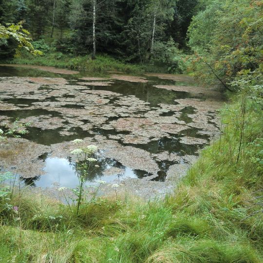Schwarzer Teich