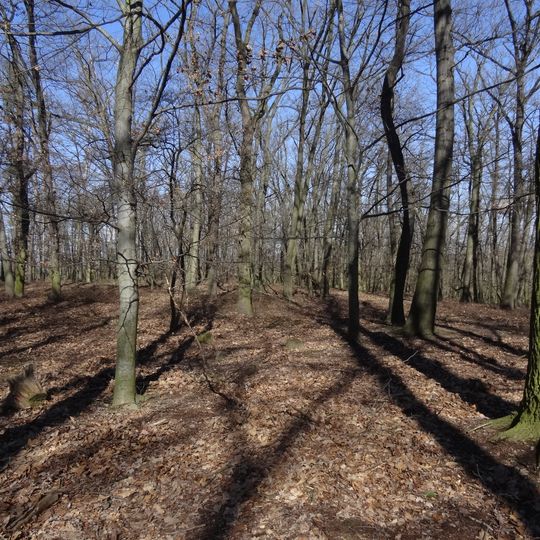 Svrkyňský mohylník