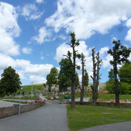 Cmentarz w Wilczyskach