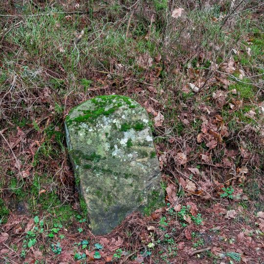 Grenzstein bei Pattenhofen