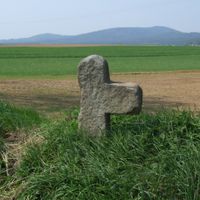 Distrito de Dzierżoniów