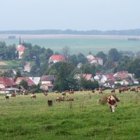 Herálec (Žďár nad Sázavou)