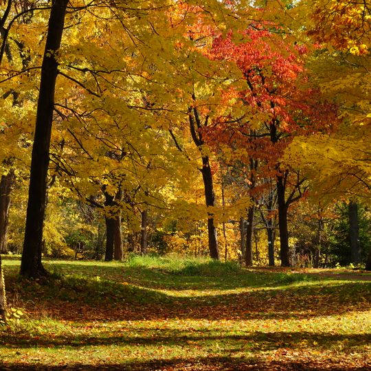 Orto botanico dell'Università di Hokkaidō