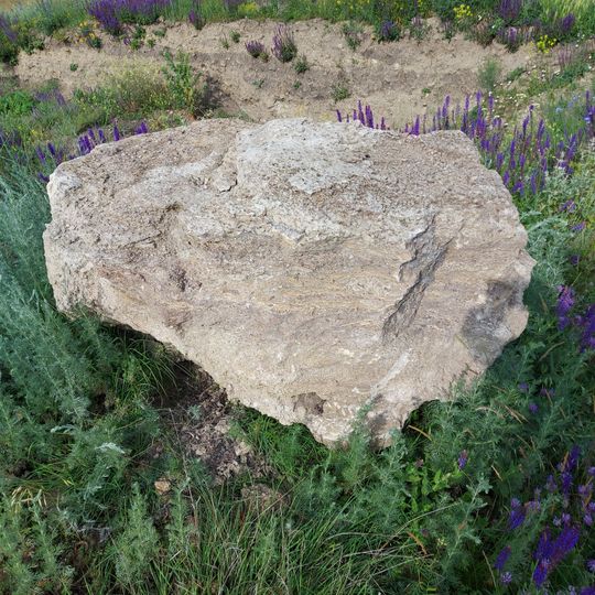 Excavation site near Zaim