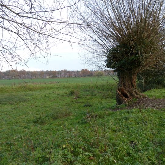 Drie stuwvijvers met bijbehorende sluisjes en duikers voor Frankenhofmolen